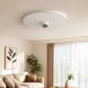 The white circular lampshade is a universal accessory for surveillance cameras details Picture